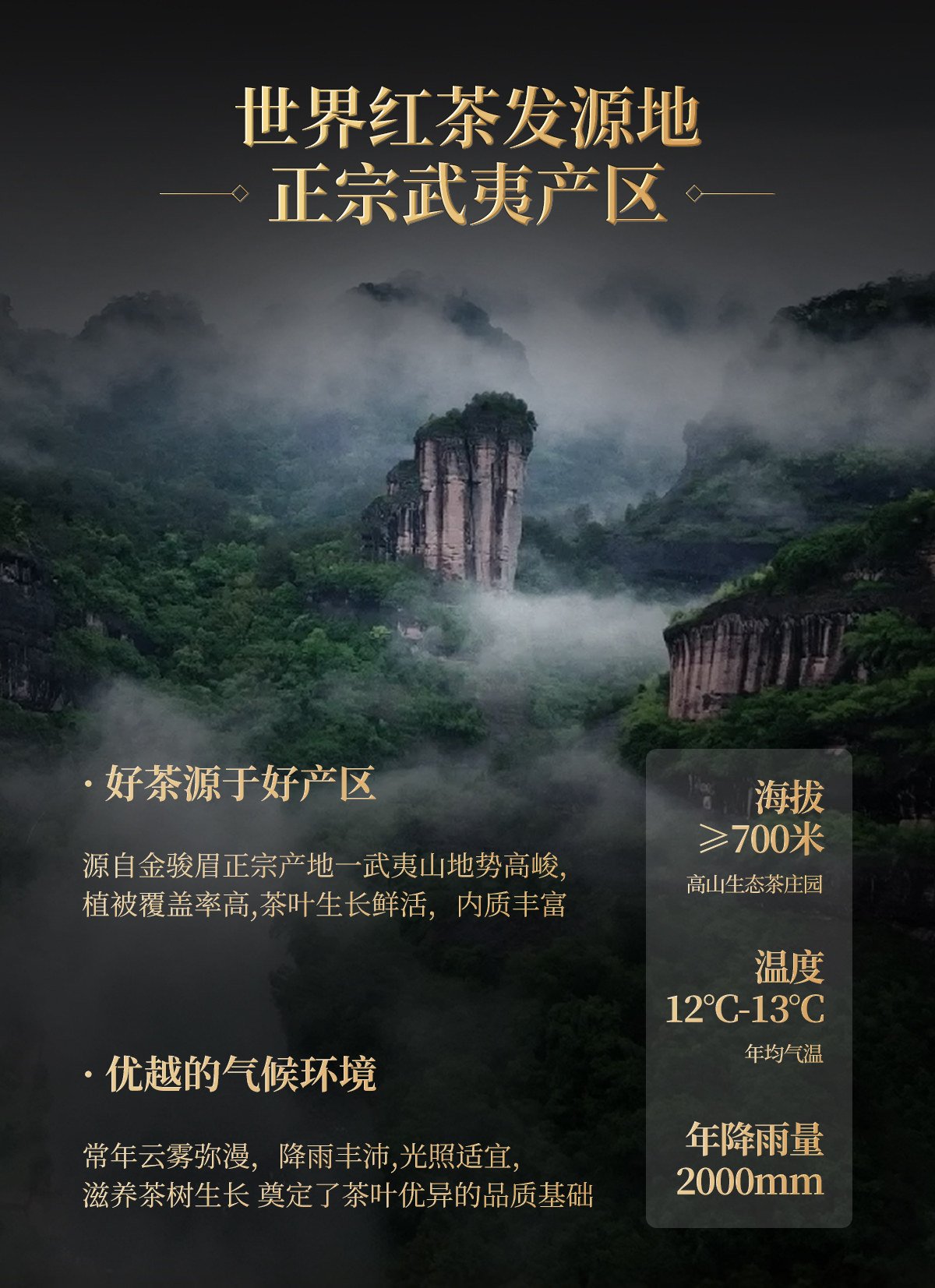 Jin Jun Mei Premium Black Tea, High-End Tea Gift Box