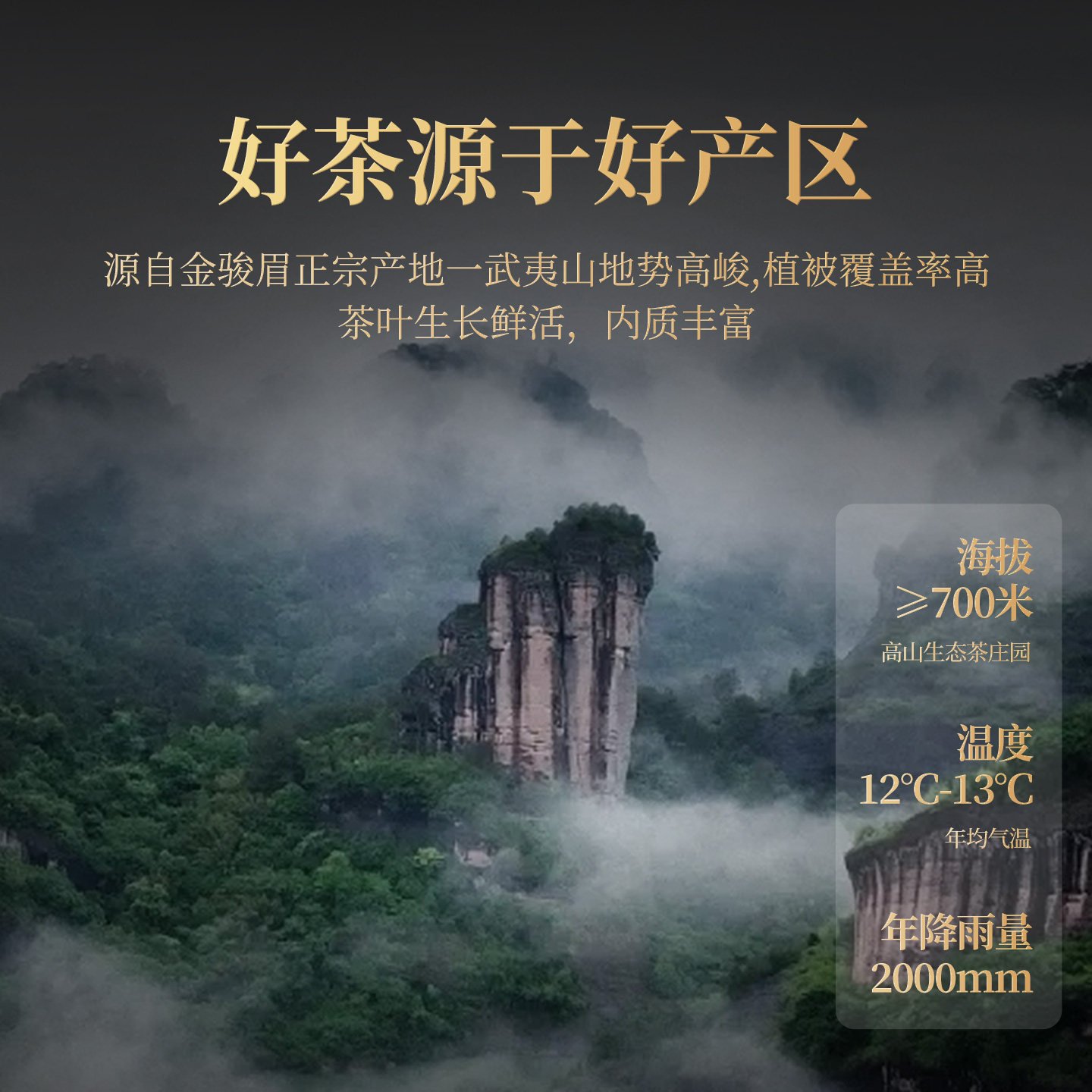 Jin Jun Mei Premium Black Tea, High-End Tea Gift Box